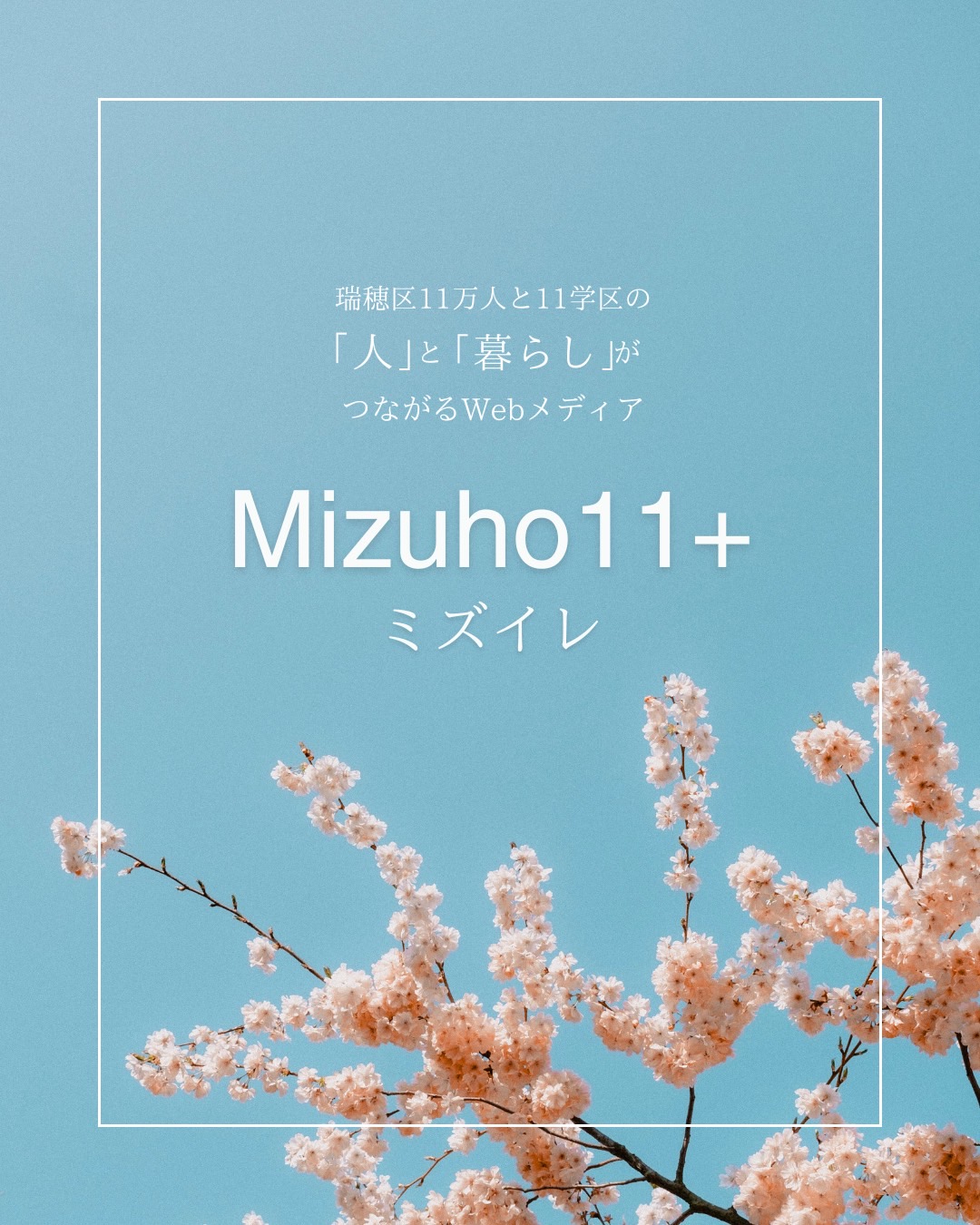 ミズイレ(Mizuho11+)